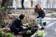Большой творческий субботник «Весенний сад. Пушкину». Большой творческий субботник «Весенний сад. Пушкину».